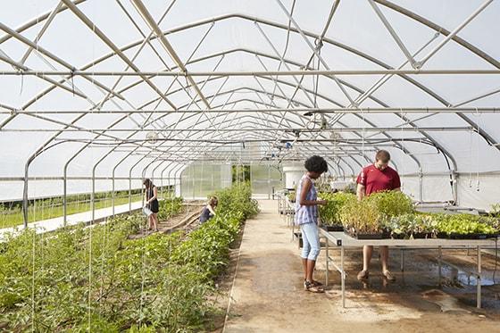 Photo of Chatham University students tending to raised plant beds in a greenhouse on the Eden Hall Campus. 